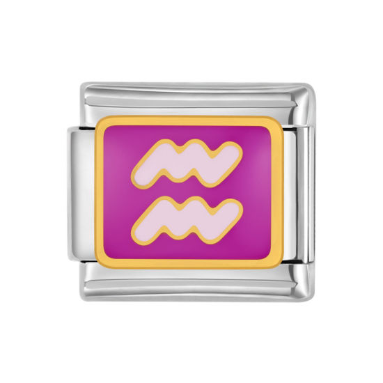 Изображение 1 ШТ 304 Нержавеющая Сталь Очаровательный итальянский браслет со звеньями Изготовление ювелирных изделий своими руками Серебряный Тон Темно-фиолетовый Прямоугольник Созвездие Водолей С Эмалью 10мм x 9мм