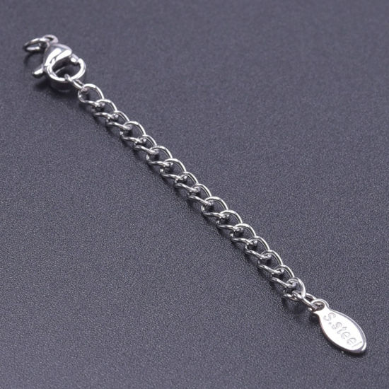 Picture of 5 PCs 304 Stainless Steel Extender Chain For Necklace Bracelet Jewelry Making Silver Tone With Lobster Claw Clasp 7.5cm(3") long, Usable Chain Length: 5cm(2")