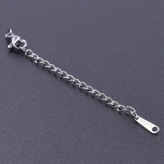 Picture of 5 PCs 304 Stainless Steel Extender Chain For Necklace Bracelet Jewelry Making Silver Tone With Lobster Claw Clasp 7.5cm(3") long, Usable Chain Length: 5cm(2")