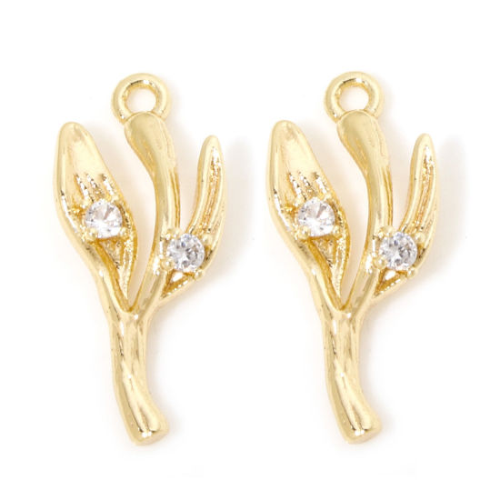 Image de 1 Pièce Breloques en Laiton Respectueux de la Nature Branches Plaqué Or Véritable 18K à Zircone Cubique Clair 21mm x 9mm