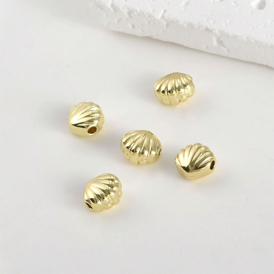 Picture of 2 PCs Hypoallergenic Brass Ocean Jewelry Beads For DIY Jewelry Making 14K Gold Plated Shell About 7mm x 6.5mm, Hole: Approx 1.4mm