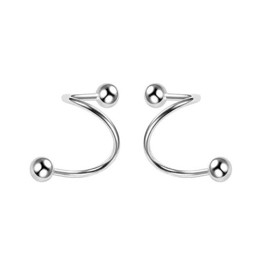 Picture of 2 Pairs 304 Stainless Steel Ear Post Stud Earrings Silver Tone S Shaped Round 16mm x 11mm, Post/ Wire Size: (20 gauge)