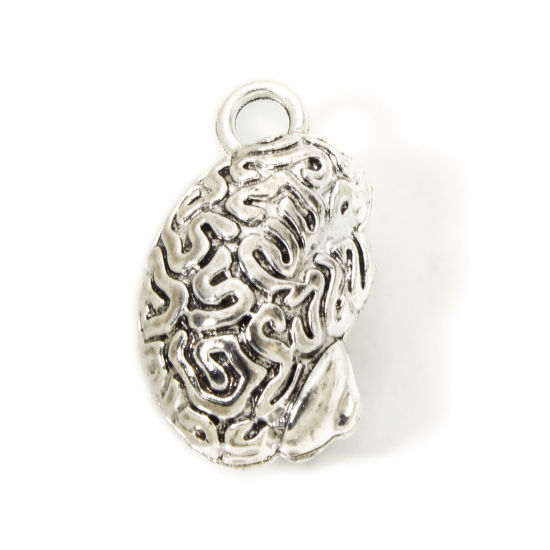 Picture of 2 PCs Zinc Based Alloy Anatomy Jewerly Pendants Antique Silver Color Anatomical Human Cerebrum Brain 3D 3.5cm x 2cm