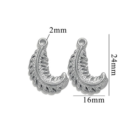 Image de 2 Pcs Breloques en 304 Acier Inoxydable Plume Argent Mat 24mm x 16mm