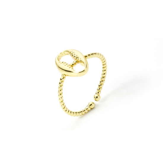 Bild von 1 Stück Umweltfreundlich Stilvoll Ozean Schmuck 18K Echtgold plattiert Messing Offen Monetaria caputserpentis Ring Für Frauen Valentinstag 16.9mm（US Größe:6.5)