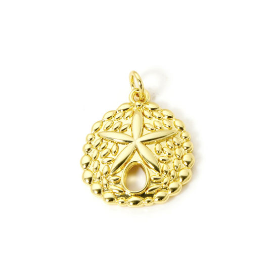 Picture of 2 PCs Eco-friendly Brass Ocean Jewelry Charms 18K Real Gold Plated Sand Dollar Hollow 24mm x 17.5mm