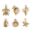 Picture of 1 Set ( 6 PCs/Set) Brass Ocean Jewelry Charms 18K Gold Plated Shell Mixed 3D
