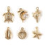 Picture of 1 Set ( 6 PCs/Set) Brass Ocean Jewelry Charms 18K Gold Plated Shell Mixed 3D