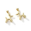 Picture of 2 PCs Brass Charm Pendant 18K Gold Plated Dog Animal 3D 23mm x 16mm