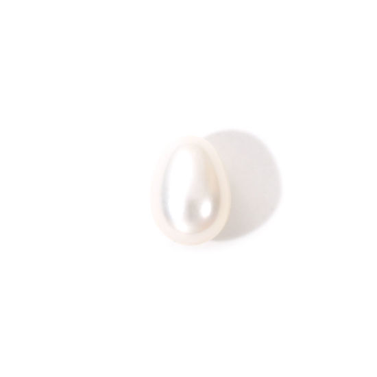 Bild von 1 Stück (Klasse 2A) Natur Süßwasserperlen Zuchtperlen Perlen zur DIY-Schmuckherstellung Oval (Halbgebohrt) Weiß, ca. 10mm x 8mm, Loch: 0.8mm