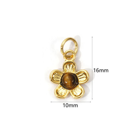 Image de 1 Pièce Breloques Respectueux de la Nature en Laiton & Œil de Tigre Plaqué Or Véritable 18K Brun Foncé Fleur 16mm x 10mm