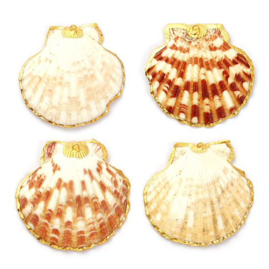 Picture of 2 PCs Natural Shell Pendants Gold Plated 5cm x 5cm