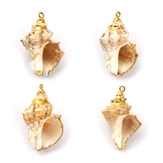 Picture of 2 PCs Natural Shell Pendants Gold Plated Conch/ Sea Snail 4.5cm x 3cm