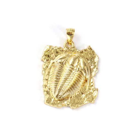 Изображение 2 ШТ Экологичный Латунь Подвески 18K настоящее золото с покрытием Трилобит ископаемый 3.3см x 2.3см