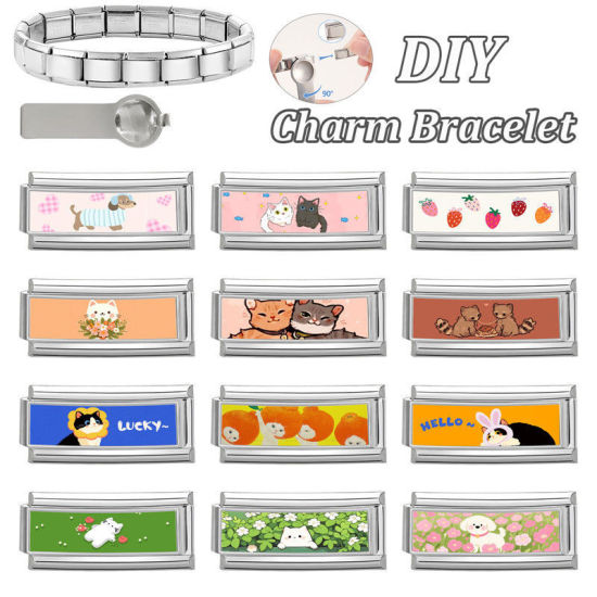 Immagine di 1 Pz 304 Acciaio Inossidabile Bracciale con Charm Italiano a Maglie, Creazione di Gioielli Fai-da-te Tono Argento Multicolore Rettangolo Gatto 20mm x 9mm