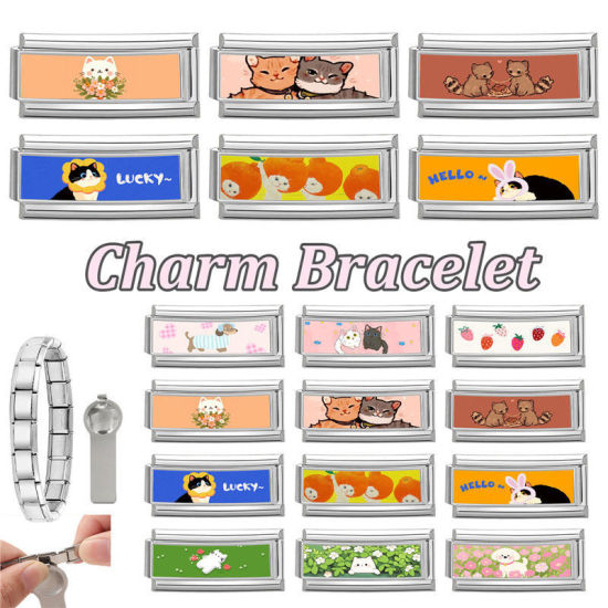 Immagine di 1 Pz 304 Acciaio Inossidabile Bracciale con Charm Italiano a Maglie, Creazione di Gioielli Fai-da-te Tono Argento Multicolore Rettangolo Gatto 20mm x 9mm