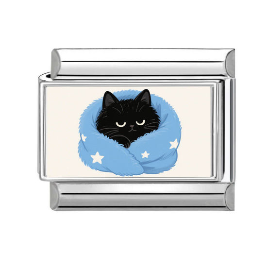 Bild von 1 Stück 304 Edelstahl Charm-Armband mit italienischen Gliedern zur Herstellung von DIY-Schmuck Silberfarbe Bunt Rechteck Katze 10mm x 9mm