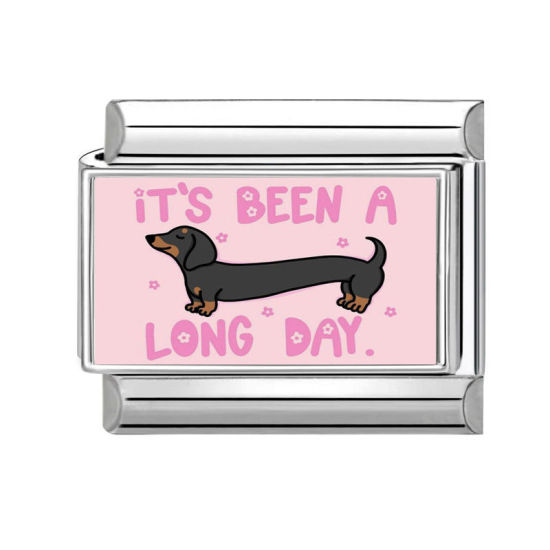 Picture of 1 Piece 304 Stainless Steel Stylish Italian Charm Links For DIY Bracelet Jewelry Making Silver Tone Pink Rectangle Dog Message " It's Been A Long Day " 10mm x 9mm