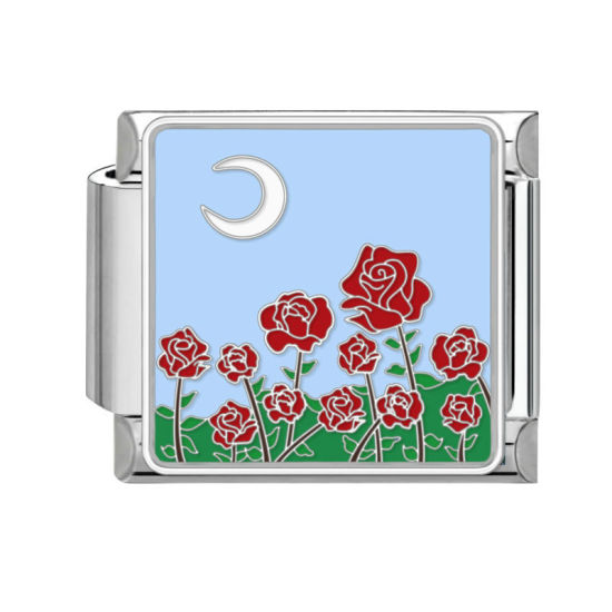 Bild von 1 Stück 304 Edelstahl Stilvoll Charm-Armband mit italienischen Gliedern zur Herstellung von DIY-Schmuck Silberfarbe Bunt Rechteck Naturlandschaft 10mm x 9mm