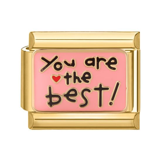 Изображение 1 ШТ 304 Нержавеющая Сталь Стильный Очаровательный итальянский браслет со звеньями Изготовление ювелирных изделий своими руками Позолоченный Розовый Прямоугольник Сообщение " You Are The Best " 10мм x 9мм