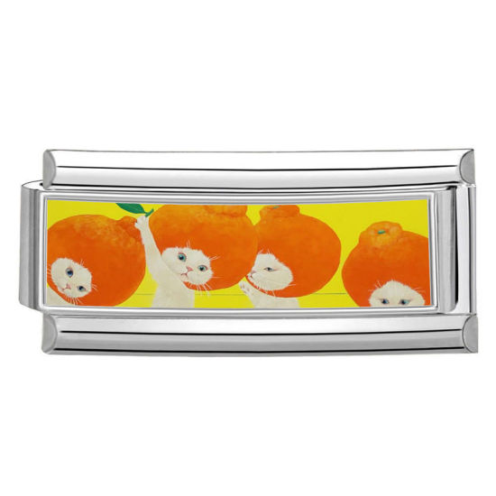 Immagine di 1 Pz 304 Acciaio Inossidabile Bracciale con Charm Italiano a Maglie, Creazione di Gioielli Fai-da-te Tono Argento Multicolore Rettangolo Arancia 20mm x 9mm