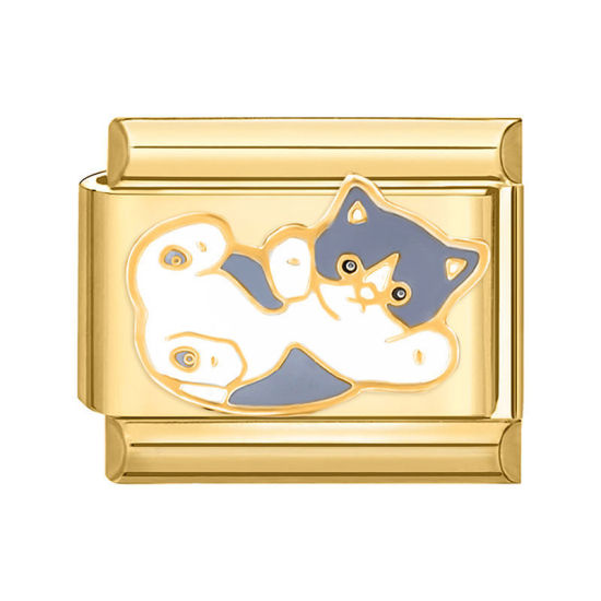 Bild von 1 Stück 304 Edelstahl Stilvoll Charm-Armband mit italienischen Gliedern zur Herstellung von DIY-Schmuck Vergoldet Weiß Rechteck Katze 10mm x 9mm