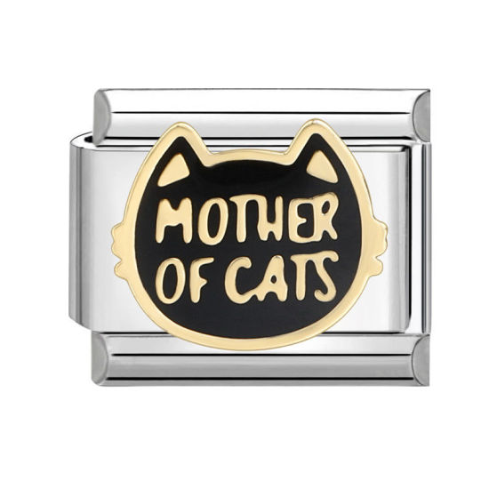Bild von 1 Stück 304 Edelstahl Charm-Armband mit italienischen Gliedern zur Herstellung von DIY-Schmuck Silberfarbe Rot Rechteck Katze Message " Mother Of Cats " 10mm x 9mm