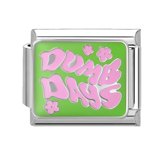 Изображение 1 ШТ 304 Нержавеющая Сталь Стильный Очаровательный итальянский браслет со звеньями Изготовление ювелирных изделий своими руками Серебряный Тон Зеленый Прямоугольник Сообщение " Dumb Days " 10мм x 9мм