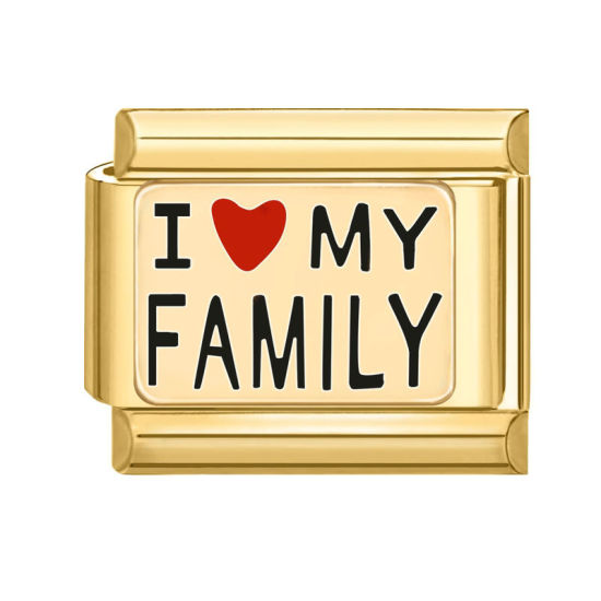 Immagine di 1 Pz 304 Acciaio Inossidabile San Valentino Bracciale con Charm Italiano a Maglie, Creazione di Gioielli Fai-da-te Oro Placcato Rosso Rettangolo Cuore 10mm x 9mm