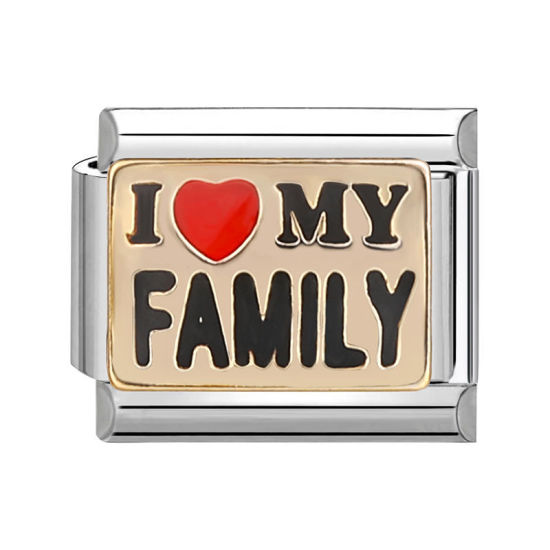 Изображение 1 ШТ 304 Нержавеющая Сталь Очаровательный итальянский браслет со звеньями Изготовление ювелирных изделий своими руками Серебряный Тон Красный Прямоугольник Сообщение " I Love My Family " 10мм x 9мм