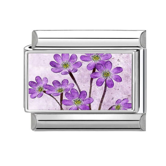 Изображение 1 ШТ 304 Нержавеющая Сталь Очаровательный итальянский браслет со звеньями Изготовление ювелирных изделий своими руками Серебряный Тон Разноцветный Прямоугольник Цветок 10мм x 9мм