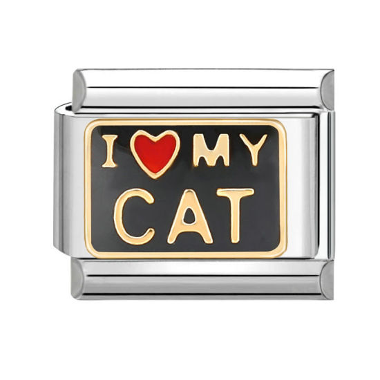 Bild von 1 Stück 304 Edelstahl Charm-Armband mit italienischen Gliedern zur Herstellung von DIY-Schmuck Silberfarbe Schwarz Rechteck Message " I Love My Cat " 10mm x 9mm