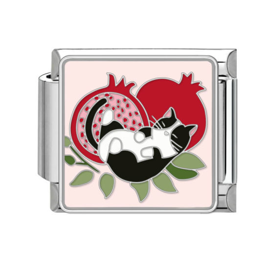 Bild von 1 Stück 304 Edelstahl Charm-Armband mit italienischen Gliedern zur Herstellung von DIY-Schmuck Silberfarbe Bunt Rechteck Katze 10mm x 9mm