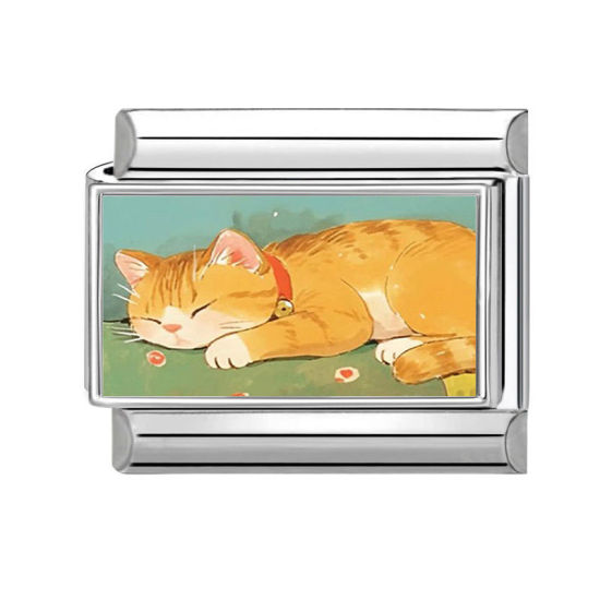 Изображение 1 ШТ 304 Нержавеющая Сталь Очаровательный итальянский браслет со звеньями Изготовление ювелирных изделий своими руками Серебряный Тон Желтый Прямоугольник Кошка 10мм x 9мм