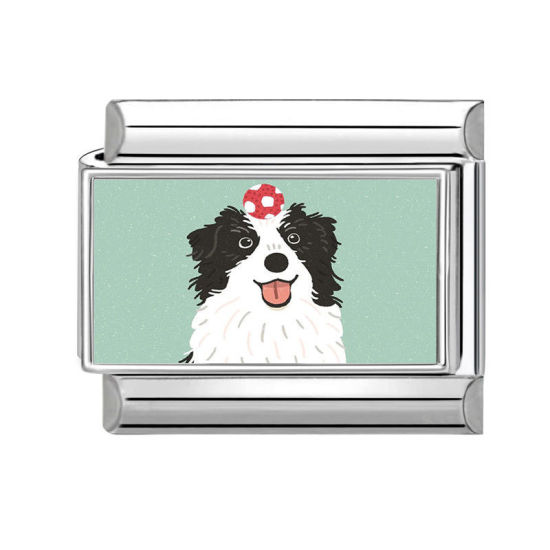 Изображение 1 ШТ 304 Нержавеющая Сталь Очаровательный итальянский браслет со звеньями Изготовление ювелирных изделий своими руками Серебряный Тон Разноцветный Прямоугольник Собака 10мм x 9мм