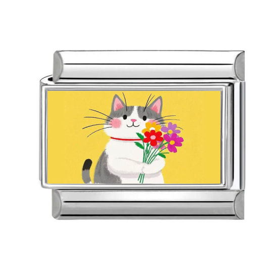 Изображение 1 ШТ 304 Нержавеющая Сталь Очаровательный итальянский браслет со звеньями Изготовление ювелирных изделий своими руками Серебряный Тон Разноцветный Прямоугольник Кошка 10мм x 9мм