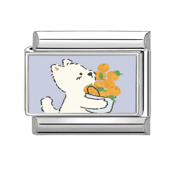 Изображение 1 ШТ 304 Нержавеющая Сталь Очаровательный итальянский браслет со звеньями Изготовление ювелирных изделий своими руками Серебряный Тон Разноцветный Прямоугольник Кошка 10мм x 9мм