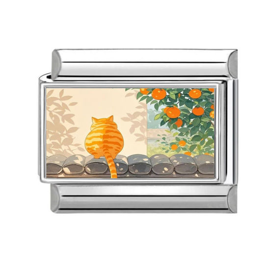 Изображение 1 ШТ 304 Нержавеющая Сталь Очаровательный итальянский браслет со звеньями Изготовление ювелирных изделий своими руками Серебряный Тон Разноцветный Прямоугольник Кошка 10мм x 9мм