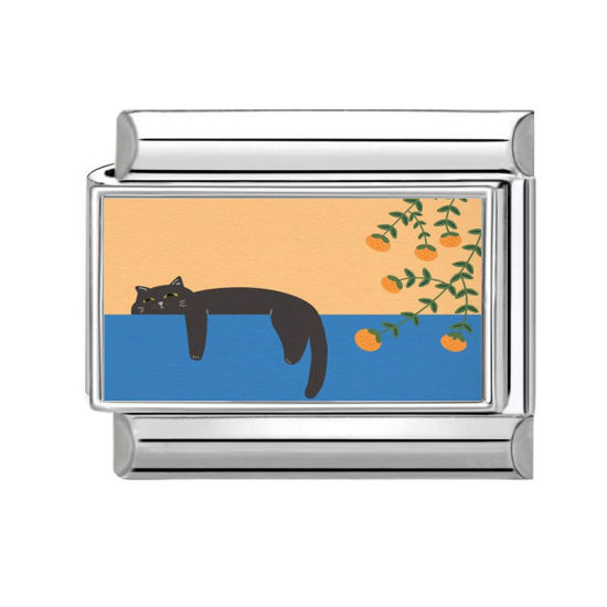 Изображение 1 ШТ 304 Нержавеющая Сталь Очаровательный итальянский браслет со звеньями Изготовление ювелирных изделий своими руками Серебряный Тон Разноцветный Прямоугольник Кошка 10мм x 9мм