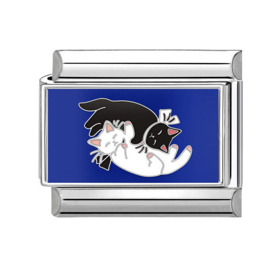 Изображение 1 ШТ 304 Нержавеющая Сталь Очаровательный итальянский браслет со звеньями Изготовление ювелирных изделий своими руками Серебряный Тон Разноцветный Прямоугольник Кошка 10мм x 9мм