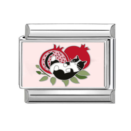 Immagine di 1 Pz 304 Acciaio Inossidabile Bracciale con Charm Italiano a Maglie, Creazione di Gioielli Fai-da-te Tono Argento Multicolore Rettangolo Gatto 10mm x 9mm