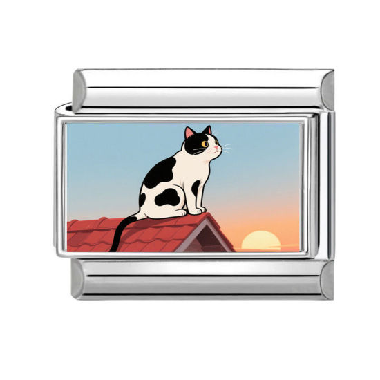 Immagine di 1 Pz 304 Acciaio Inossidabile Bracciale con Charm Italiano a Maglie, Creazione di Gioielli Fai-da-te Tono Argento Multicolore Rettangolo Gatto 10mm x 9mm