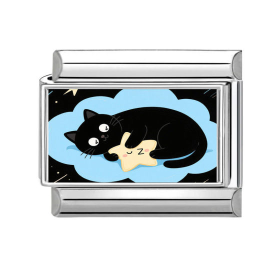 Immagine di 1 Pz 304 Acciaio Inossidabile Bracciale con Charm Italiano a Maglie, Creazione di Gioielli Fai-da-te Tono Argento Multicolore Rettangolo Gatto 10mm x 9mm