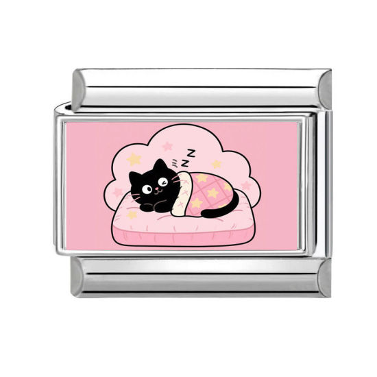 Immagine di 1 Pz 304 Acciaio Inossidabile Bracciale con Charm Italiano a Maglie, Creazione di Gioielli Fai-da-te Tono Argento Multicolore Rettangolo Gatto 10mm x 9mm