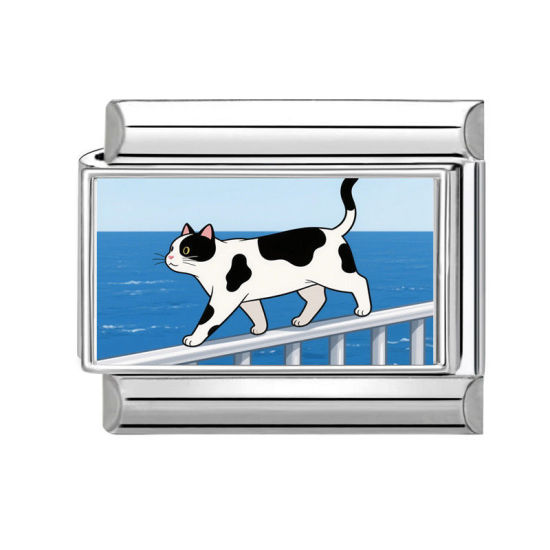 Immagine di 1 Pz 304 Acciaio Inossidabile Bracciale con Charm Italiano a Maglie, Creazione di Gioielli Fai-da-te Tono Argento Multicolore Rettangolo Gatto 10mm x 9mm