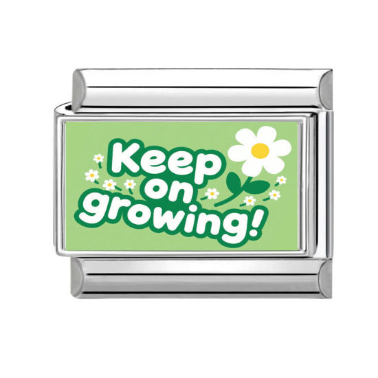 Изображение 1 ШТ 304 Нержавеющая Сталь Очаровательный итальянский браслет со звеньями Изготовление ювелирных изделий своими руками Серебряный Тон Прямоугольник Сообщение " Keep On Growing " 10мм x 9мм