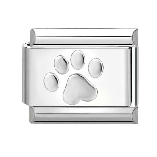 Immagine di 1 Pz 304 Acciaio Inossidabile Bracciale con Charm Italiano a Maglie, Creazione di Gioielli Fai-da-te Tono Argento Rettangolo Orma di Zampa 10mm x 9mm