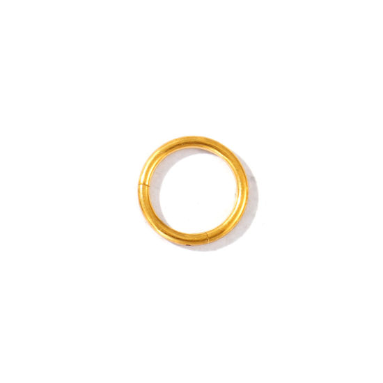 Imagen de 2 Unidades PVD Ecológico 316 Acero Inoxidable Joyas para Piercing Cierre De Aro Con Click Segmentado Con Bisagra Al Por Mayor Ronda Chapado en Oro de 18K 10.5mm Dia