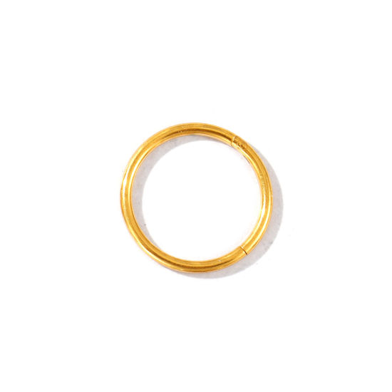Imagen de 2 Unidades PVD Ecológico 316 Acero Inoxidable Joyas para Piercing Cierre De Aro Con Click Segmentado Con Bisagra Al Por Mayor Ronda Chapado en Oro de 18K 14.5mm Dia