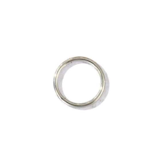 Imagen de 2 Unidades Respetuoso del Medio Ambiente 316 Acero Inoxidable Joyas para Piercing Cierre De Aro Con Click Segmentado Con Bisagra Al Por Mayor Ronda Tono de Plata 12.5mm Dia